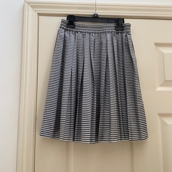 Pleated skirt - Picture 1 of 3